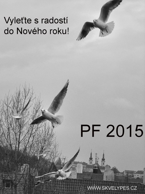 PF 2015